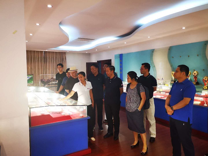 北京中醫藥大學中藥學院魏勝利院長一行到我公司參觀指導